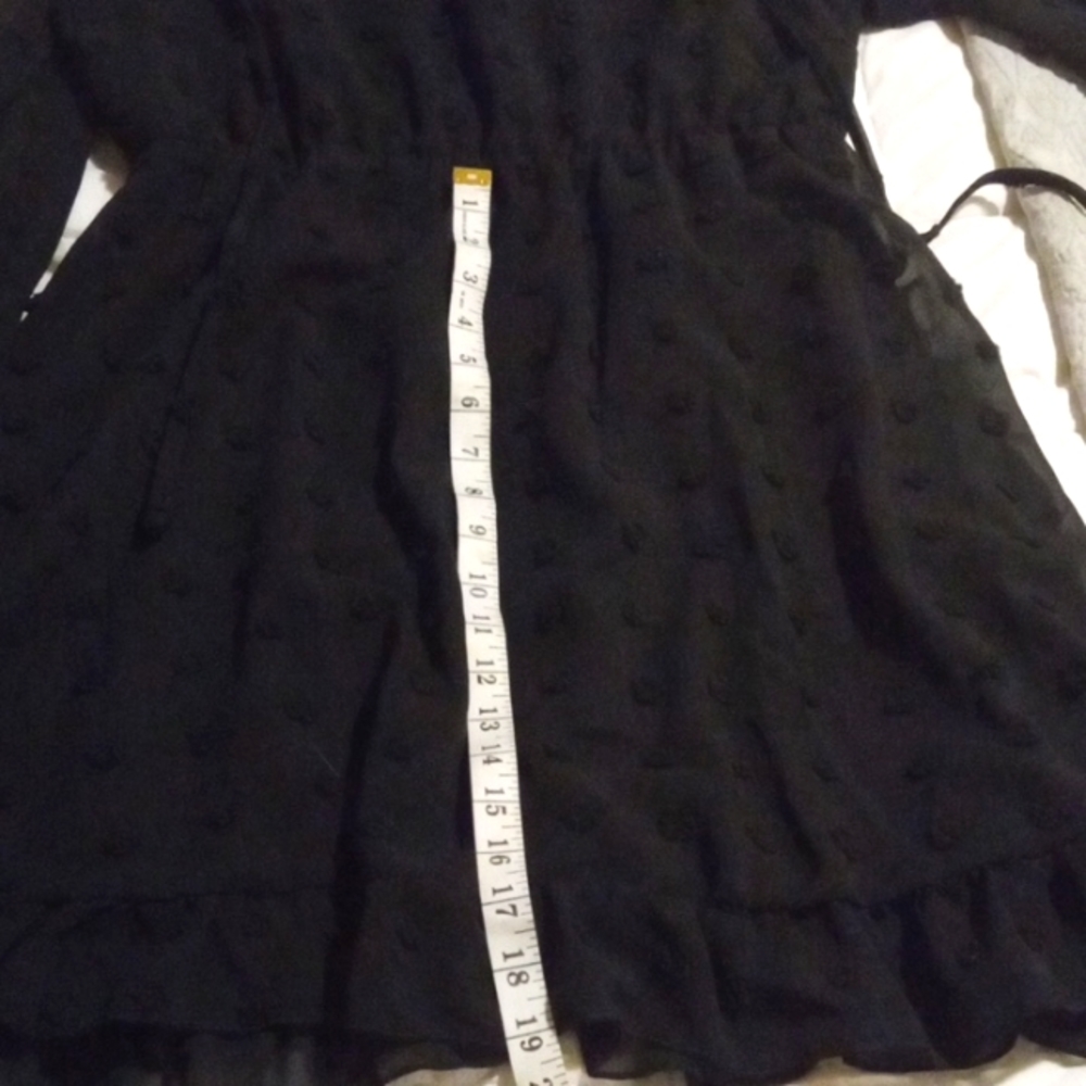 Black swiss dot long sleeve dress.